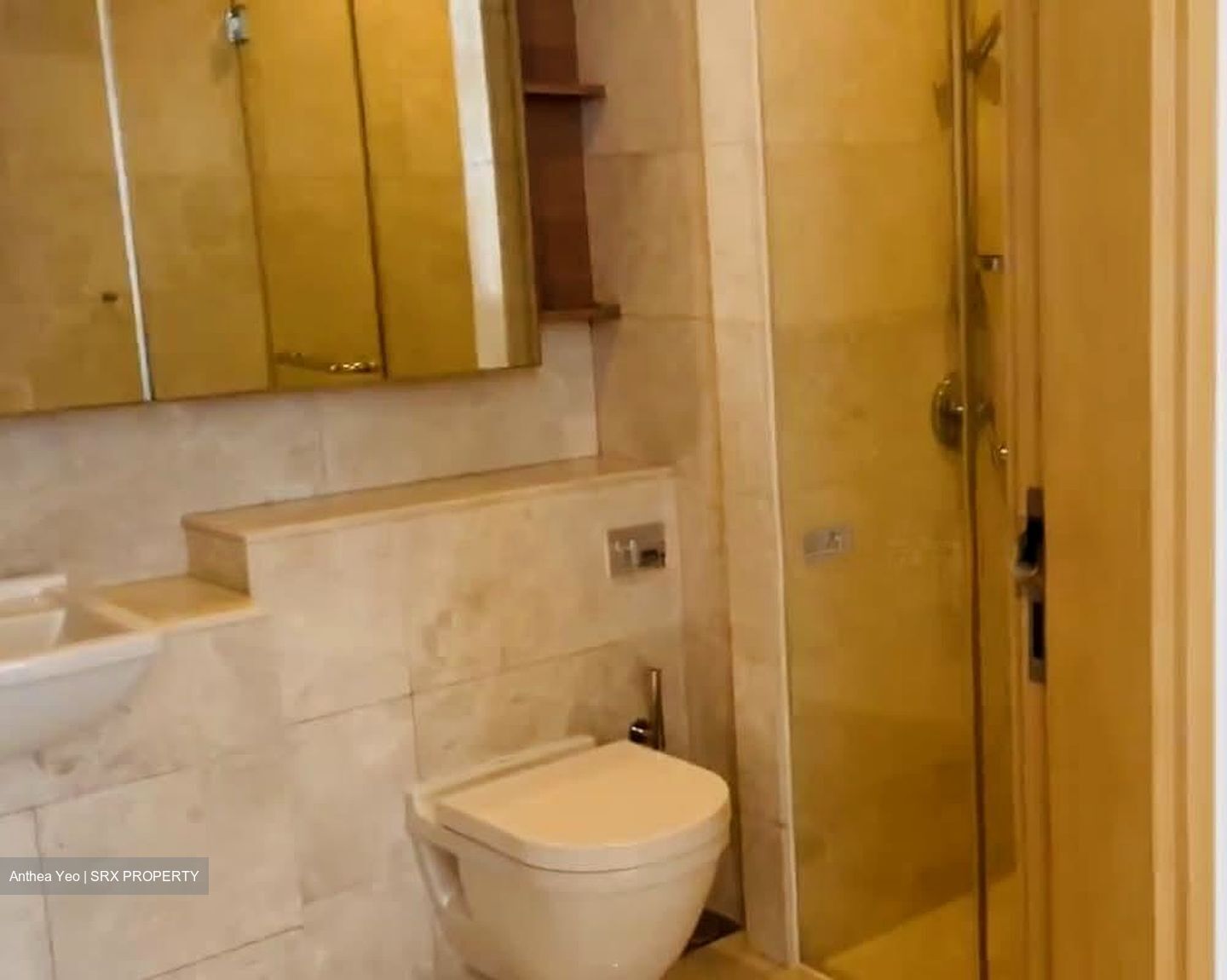 Soleil @ Sinaran (D11), Condominium #575950941